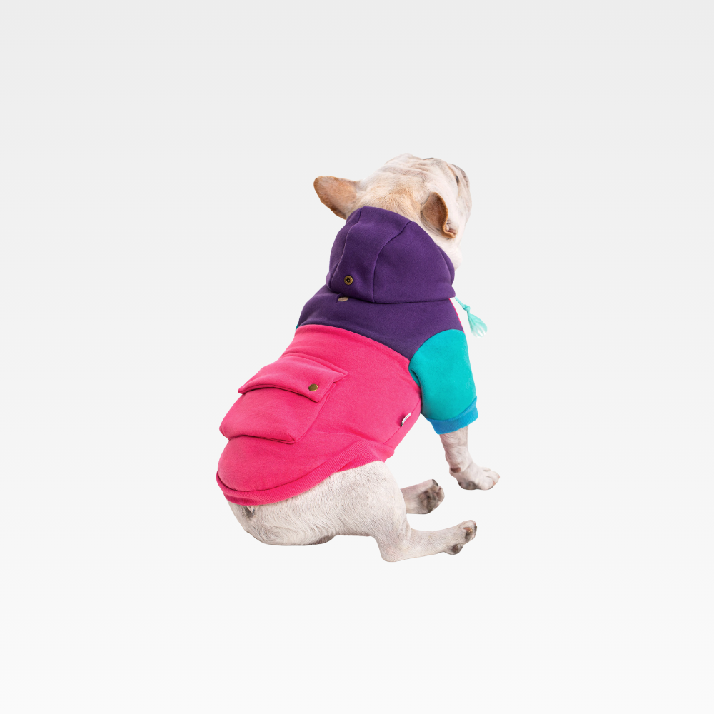 koipet colorblock hoodie Warm. Playful. Stylish. – Everyday comfort your pup can wear anywhere.