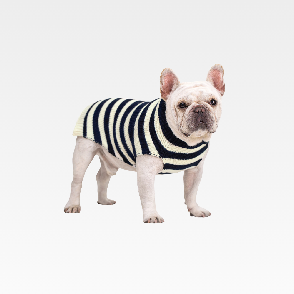 koipet Classic striped design brings warmth and charm to your dog’s everyday look.