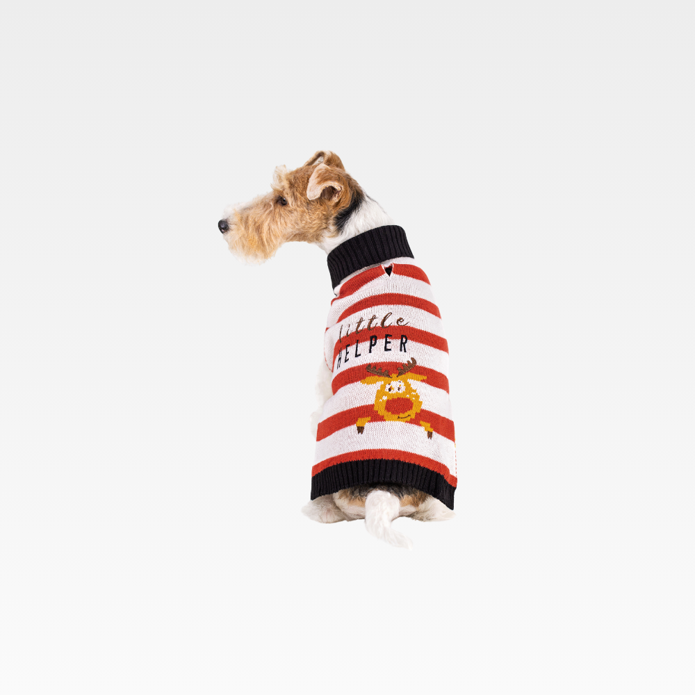 koipet Festive stripes, cozy nights sweater