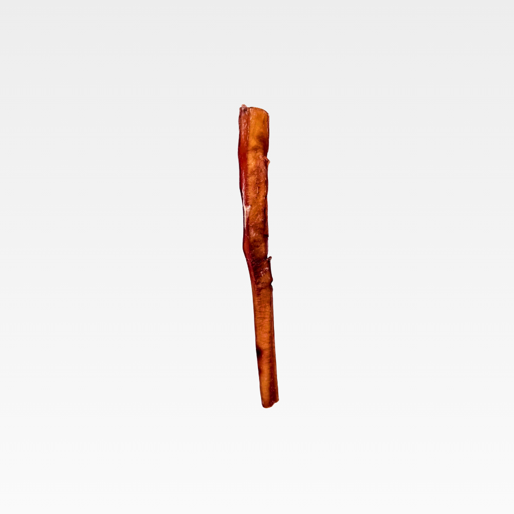 12" Jumbo Bully Stick โ Natural Dog Chew